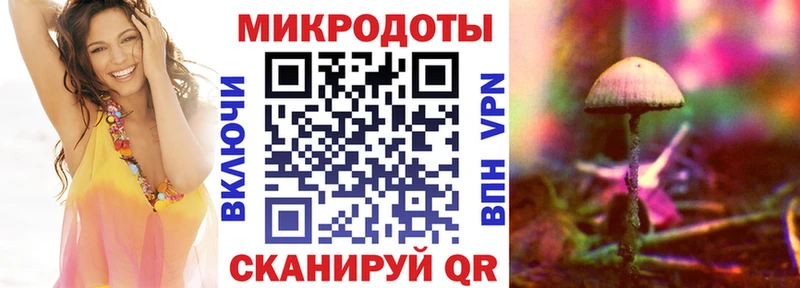 Псилоцибиновые грибы Cubensis  что такое наркотик  Камызяк 